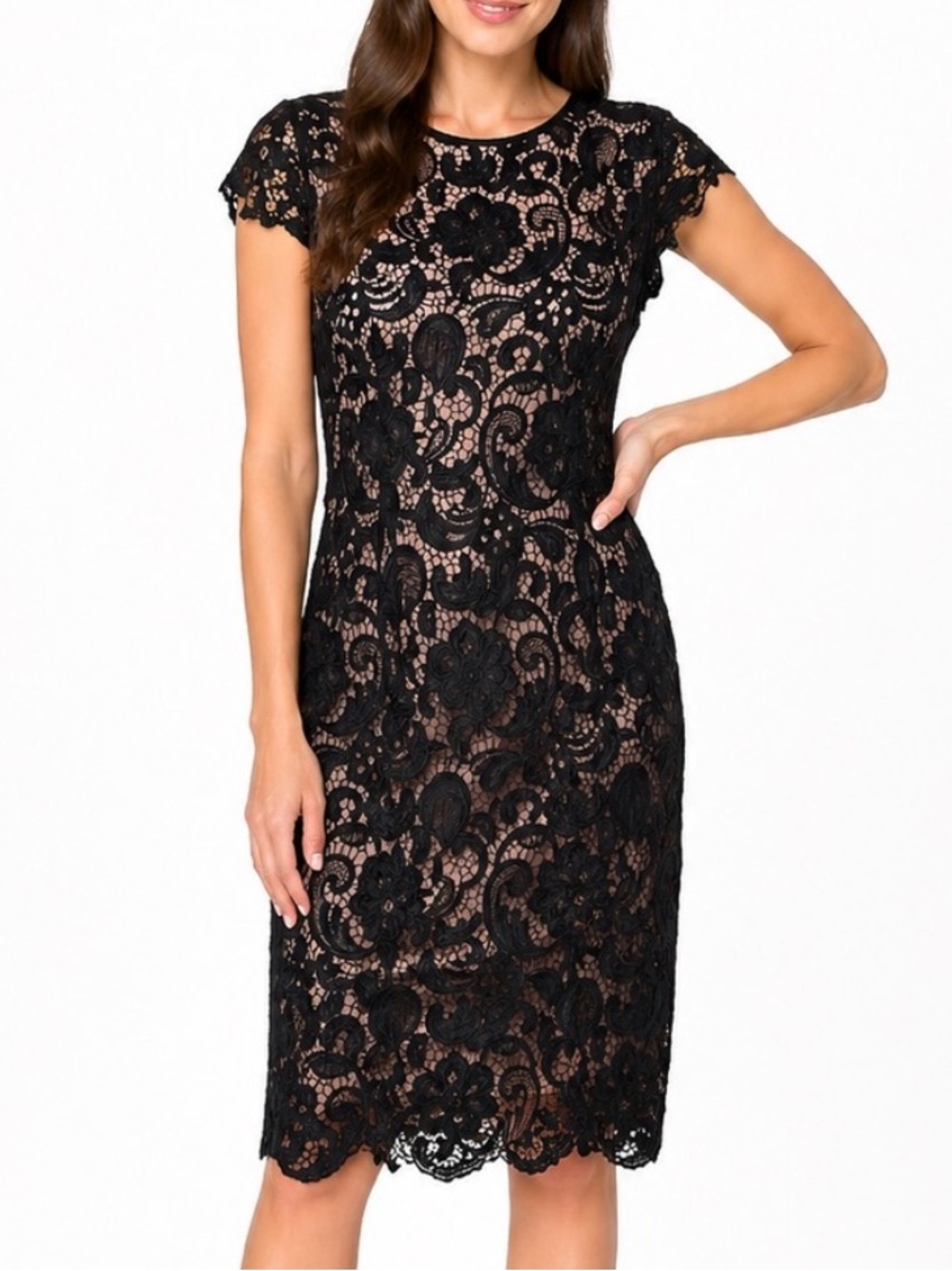 Patra Black Lace Evening Out Cocktail Wedding Midi Dress
